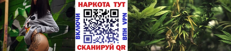 Купить закладку ГАШИШ  APVP  Галлюциногенные грибы  Каннабис  МЕФ  Киреевск