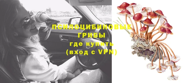 мескалин Заводоуковск