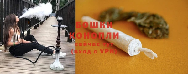 мескалин Заводоуковск