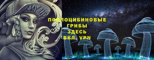 мескалин Заводоуковск