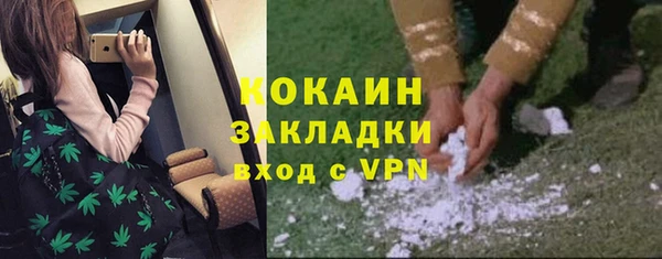 мескалин Заводоуковск